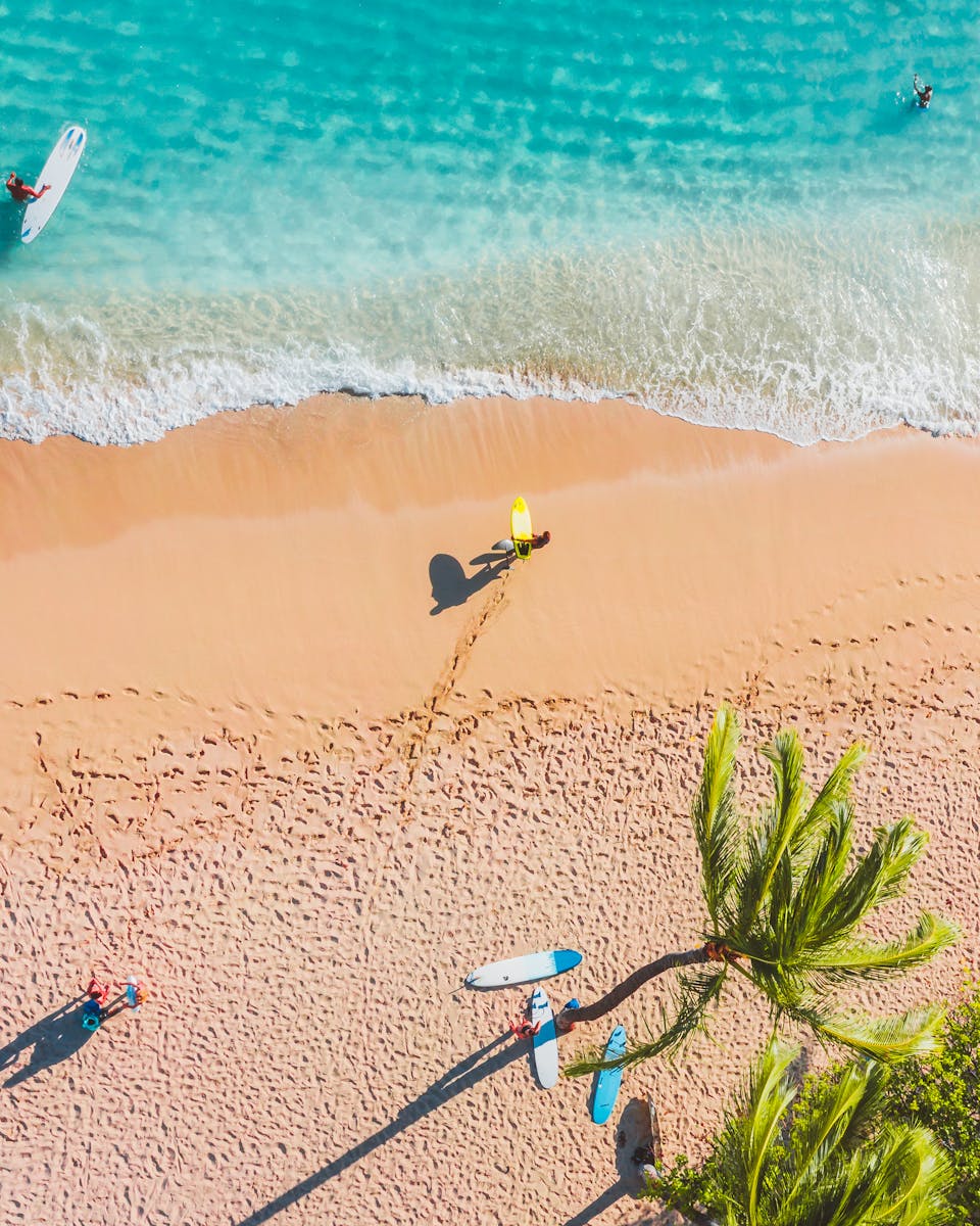 A stunning aerial view of surfers and palm trees on a vibrant tropical beach.